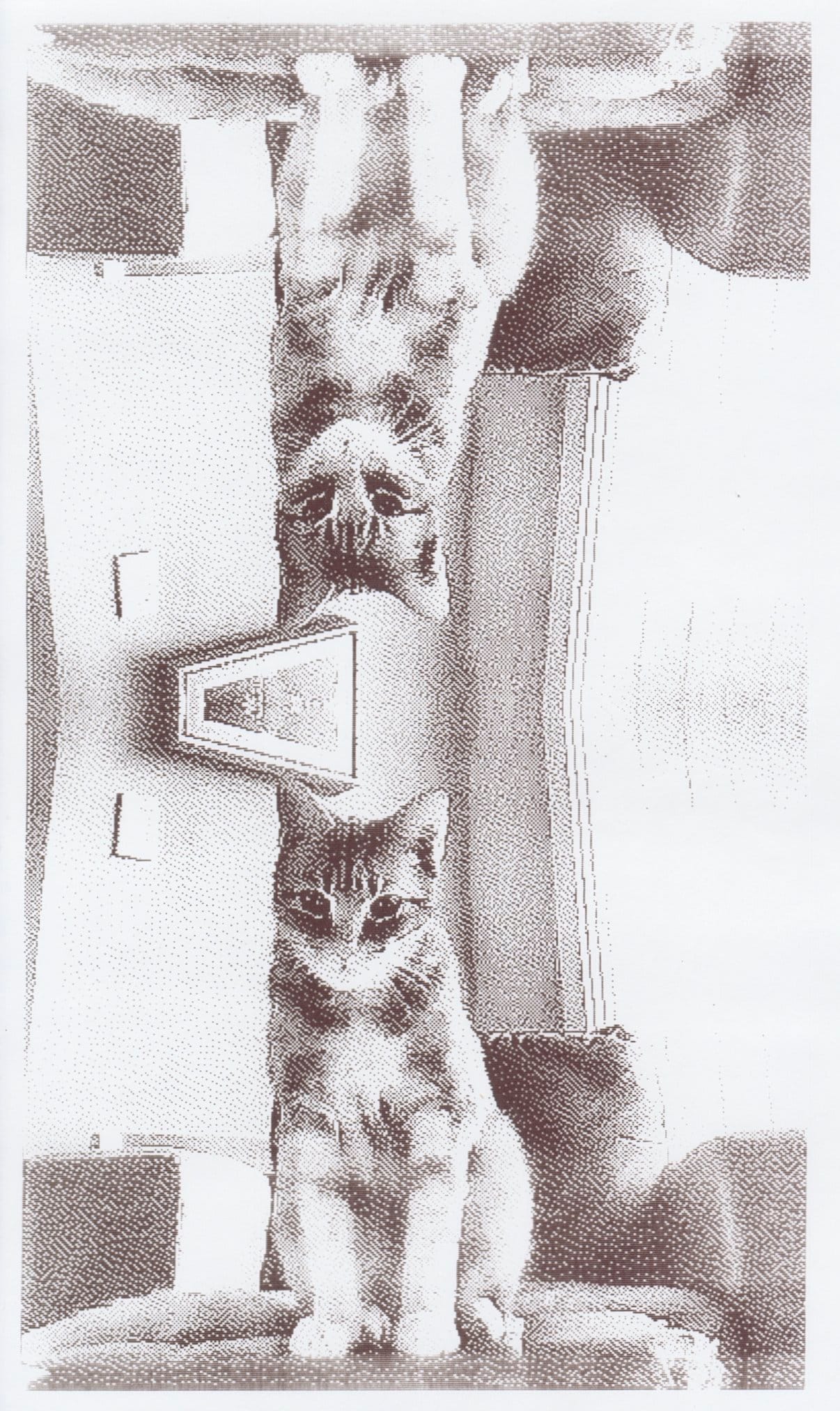 Scan of a grayscale, low-res thermal printer picture of a cat with a vertical mirror effect showing the cat upside down sitting on a ottoman at the top of the picture, and sitting right side up at the bottom of the picture