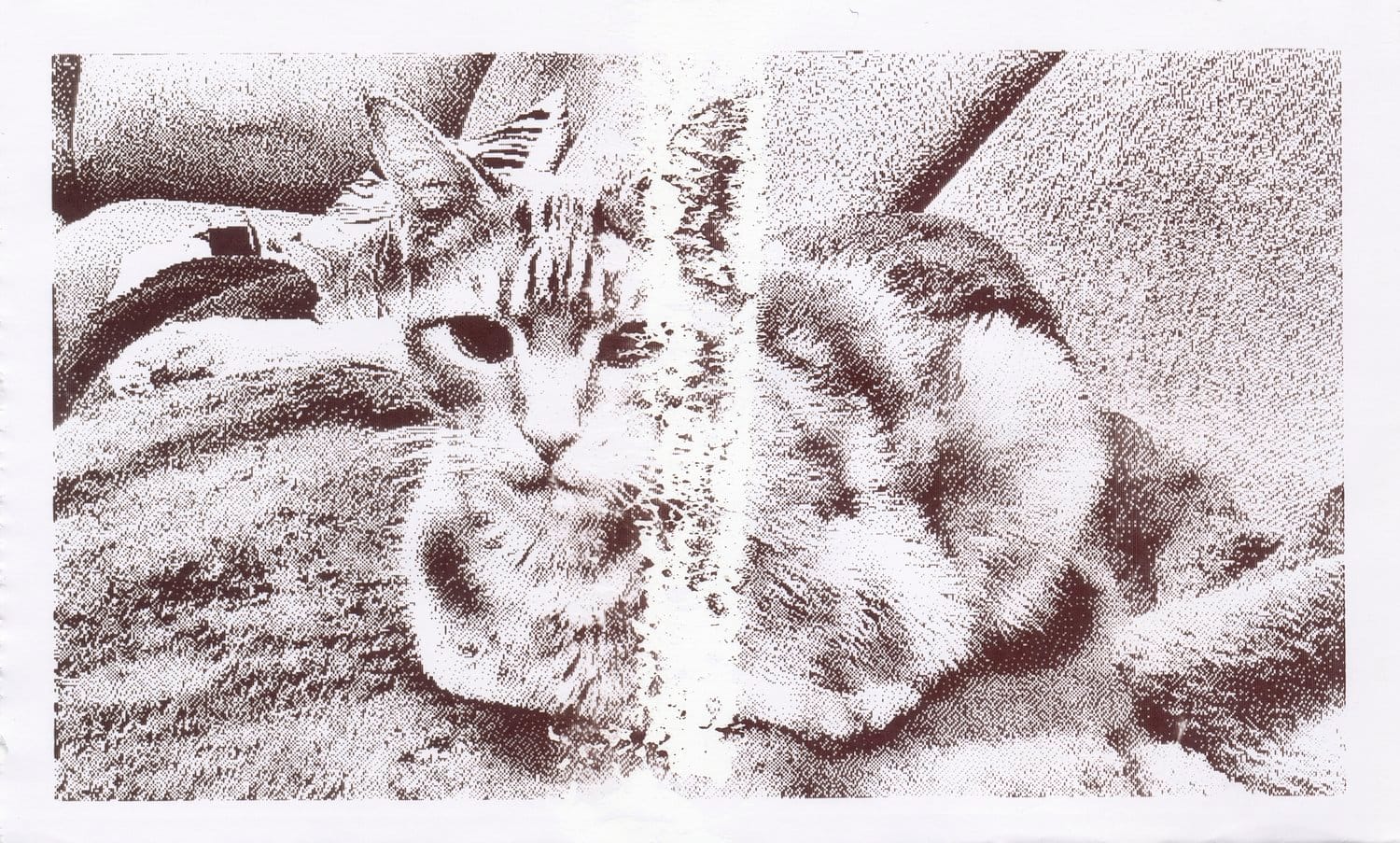 Grayscale thermal print of a cat sitting on a blanket on a couch with a visible printing error down the middle of the image, somewhat obscuring the cat's face
