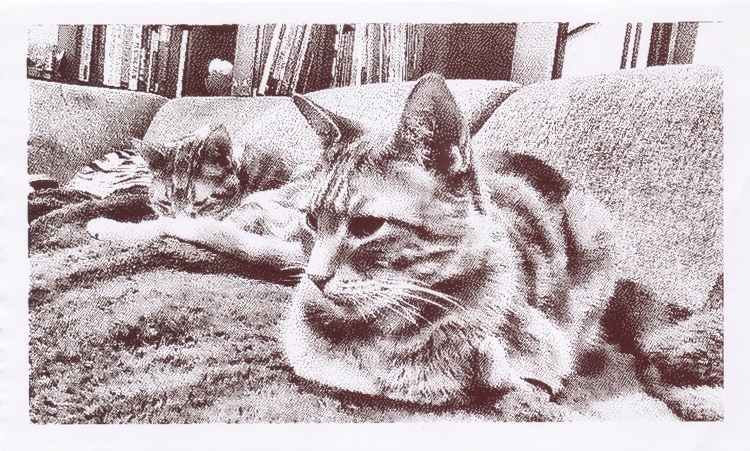 Grayscale thermal printed image of 2 cats sitting on a blanket on a couch
