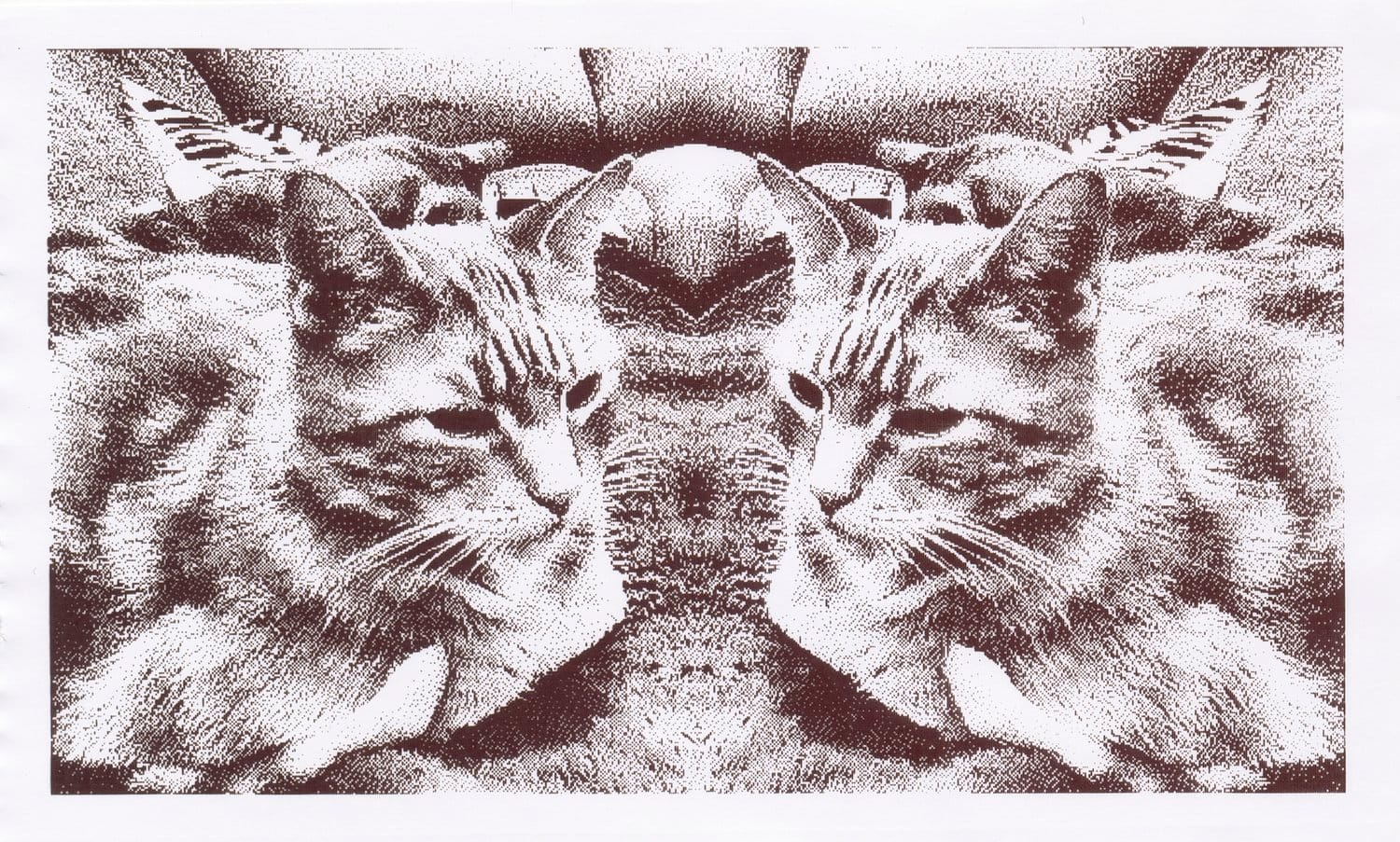 Grayscale thermal printed image of a cat, horizontally mirrored in a "special effect" shot