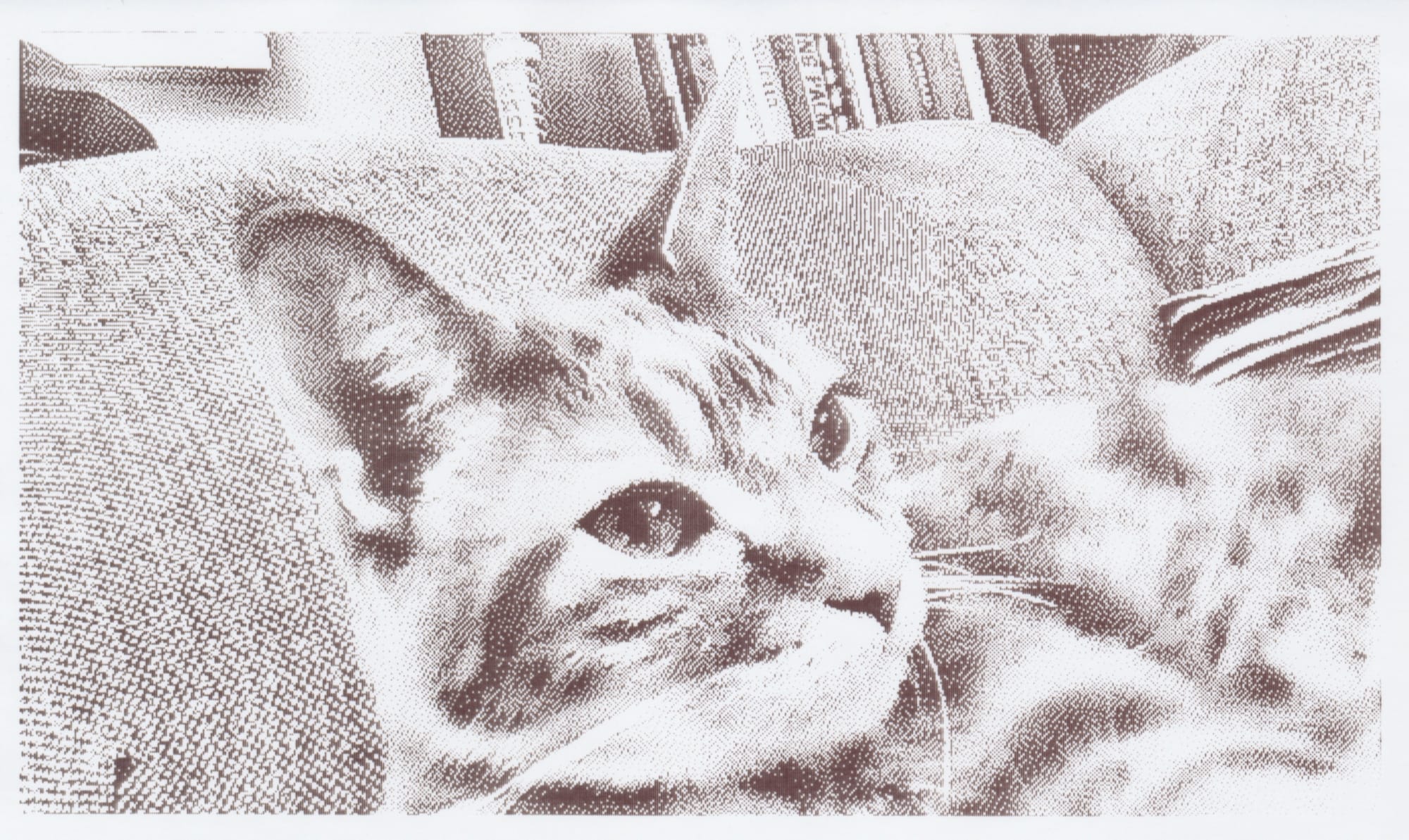 Another 1-bit grayscale thermal print out of a close-up side-view of a cat's face looking to the side of the camera