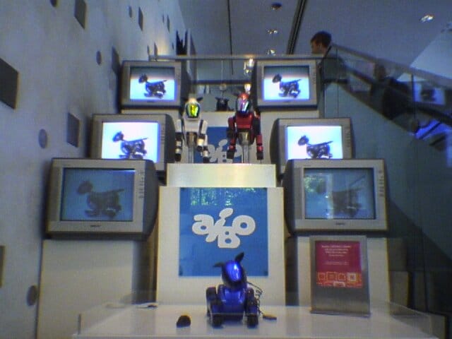 A view of the Sony aibo (robot dog) display at an old SonyStyle store in downtown Chicago, with flat-screened TVs on a stair-stepped display showing aibo pictures or video with actual aibo robots set up on platforms between the TVs