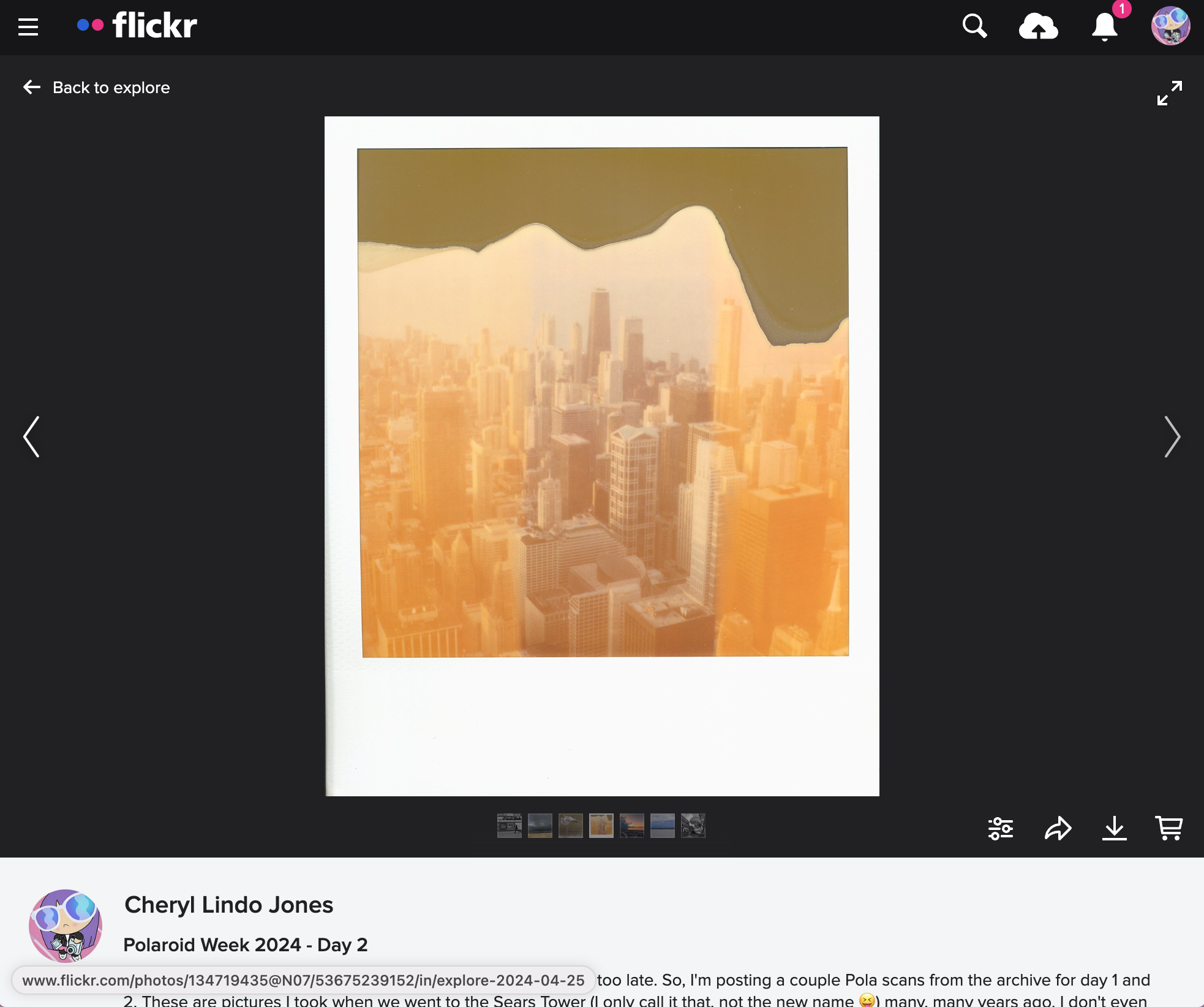 Screenshot of the detail image view on Flickr showing the UI "Back to explore" at the top left, indicating the user opened the photo details from the Explore page