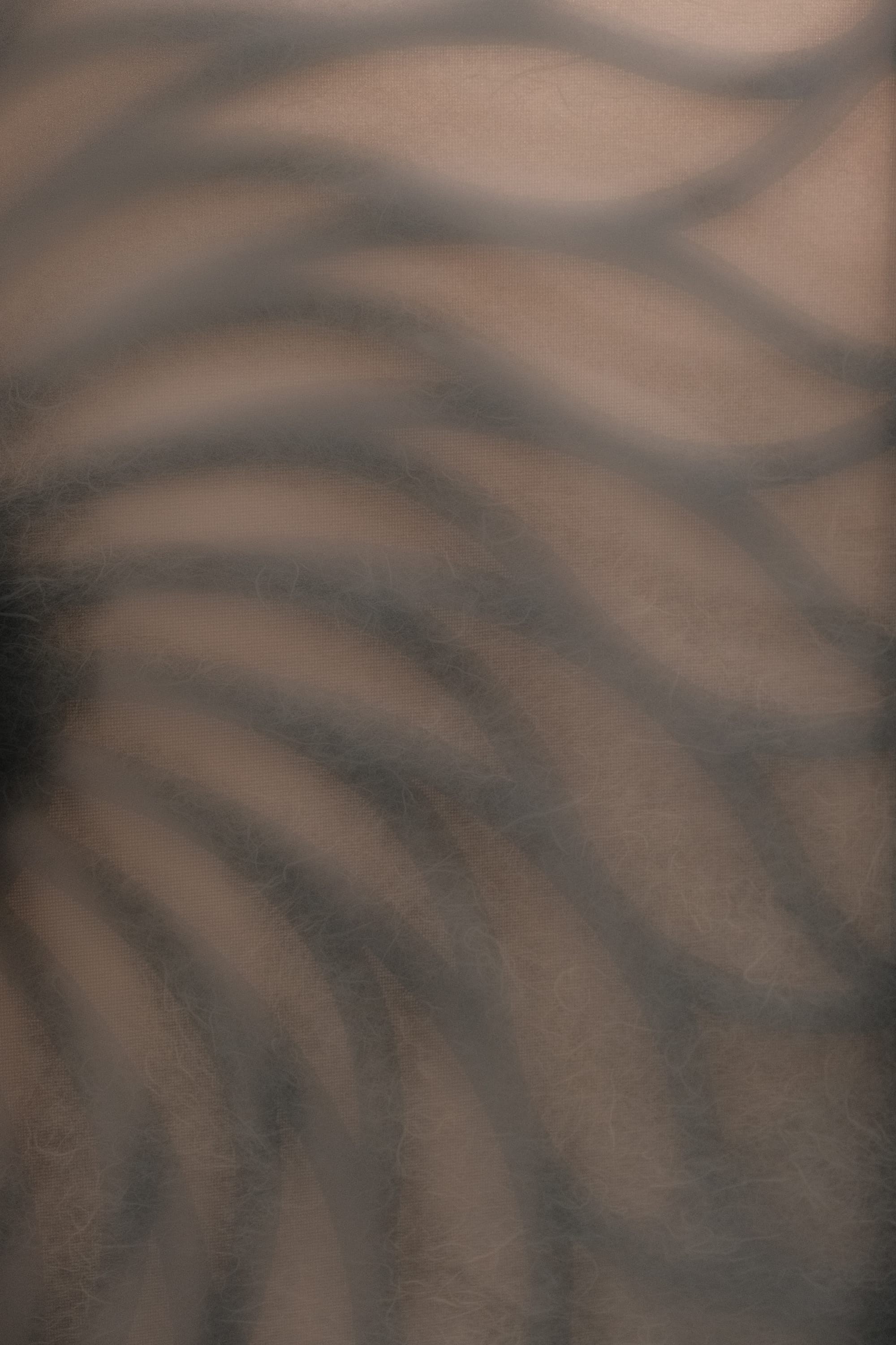 Diffused sunflower petal-like pattern showing through a glass door covered with textured paper