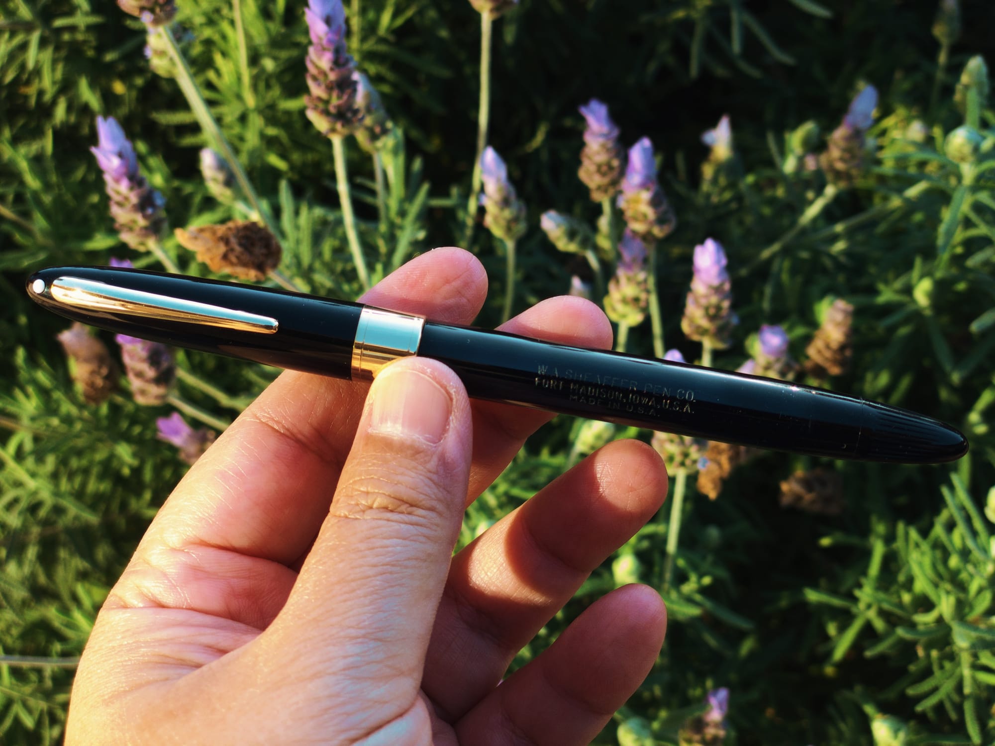 Hand holding a black and gold fountain pen in front of a lavender bush in late afternoon sunlight