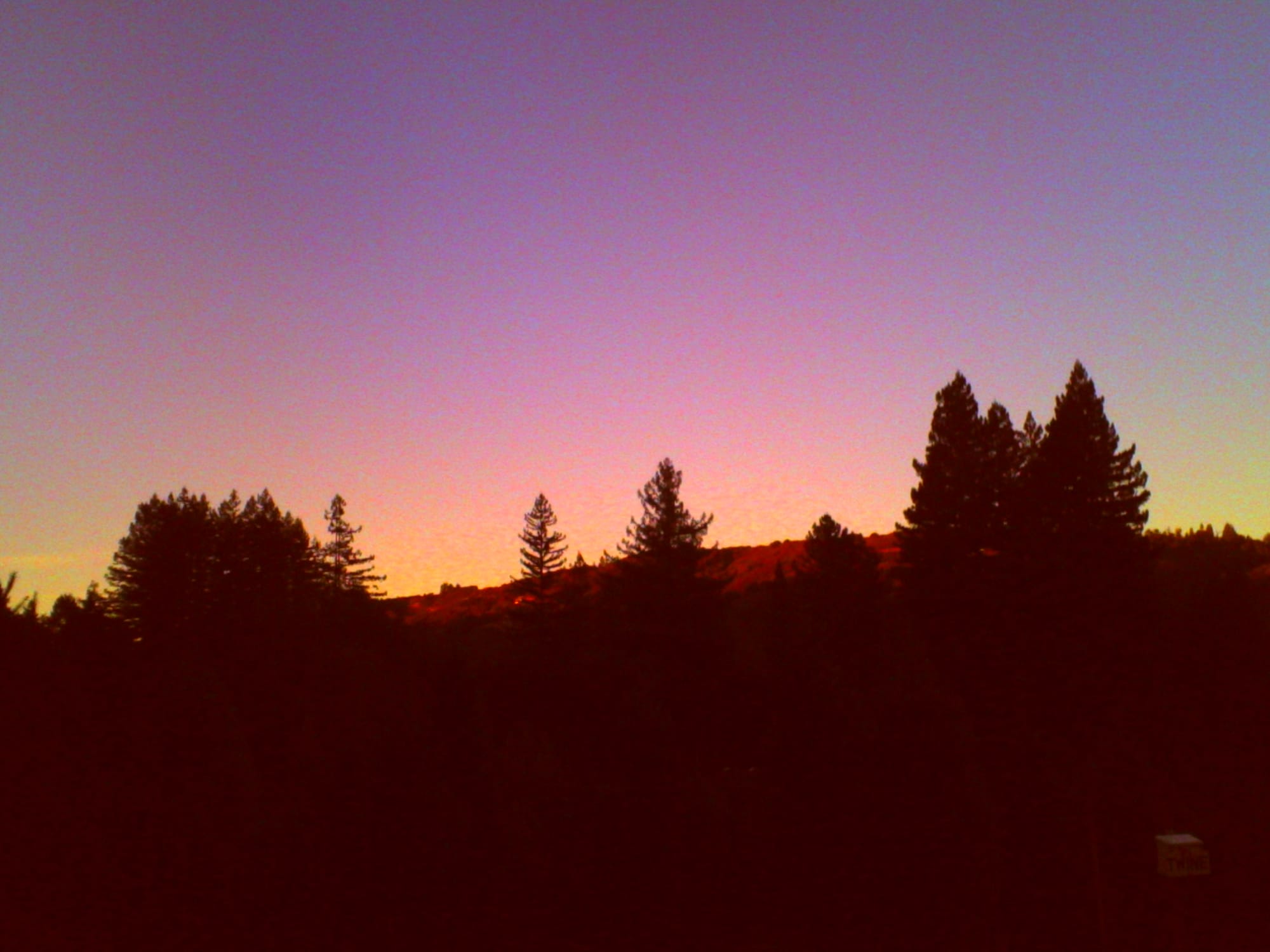 Noisy, low-res picture of evergreen tree silhouettes in the distance, with the Santa Cruz mountains peeking behind, and a cloudless sunset sky with purples, oranges, pinks, and blues visible