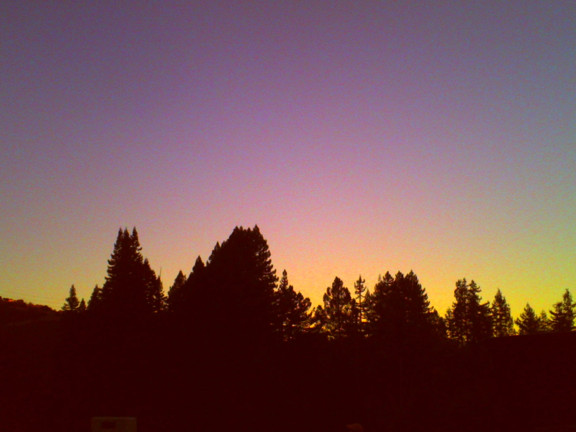 Noisy, low-res picture of evergreen tree silhouettes in the distance and a cloudless sunset sky with purples, oranges, pinks, and greens visible