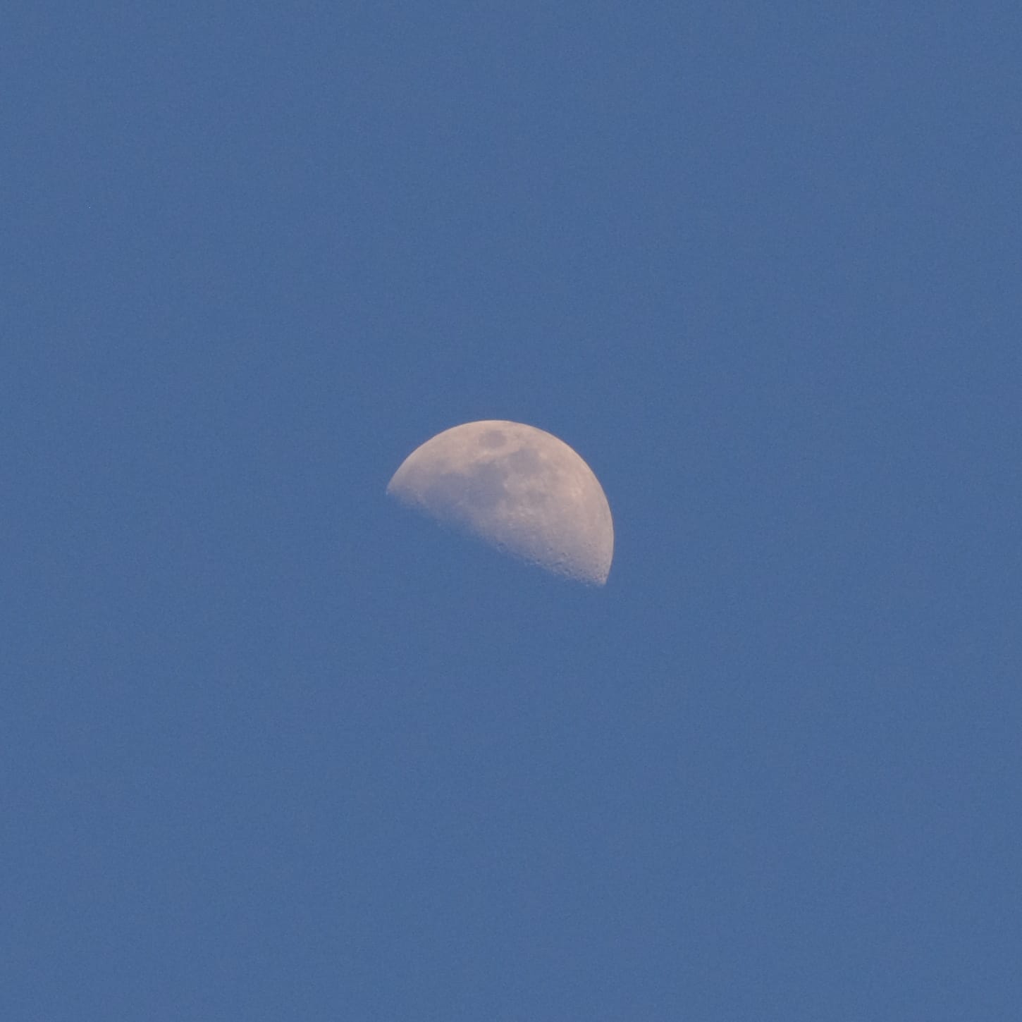 Half-moon shot at mid-afternoon, cropped to 100%, centered in a square frame