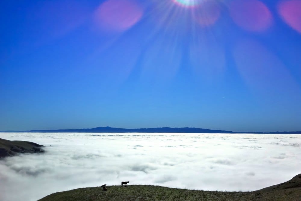 View of the cloud-covered San Jose valley, mountains in the distance, and small cow silhouettes in foreground