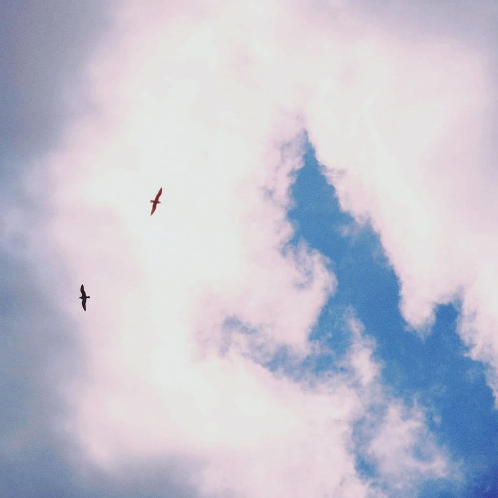 Grainy, atmospheric picture looking up at 2 birds flying in a partially cloudy sky