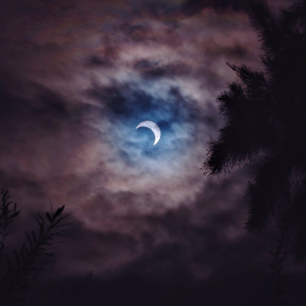 Partially eclipsed sun showing through partial cloud cover with silhouettes of trees on either side of the frame