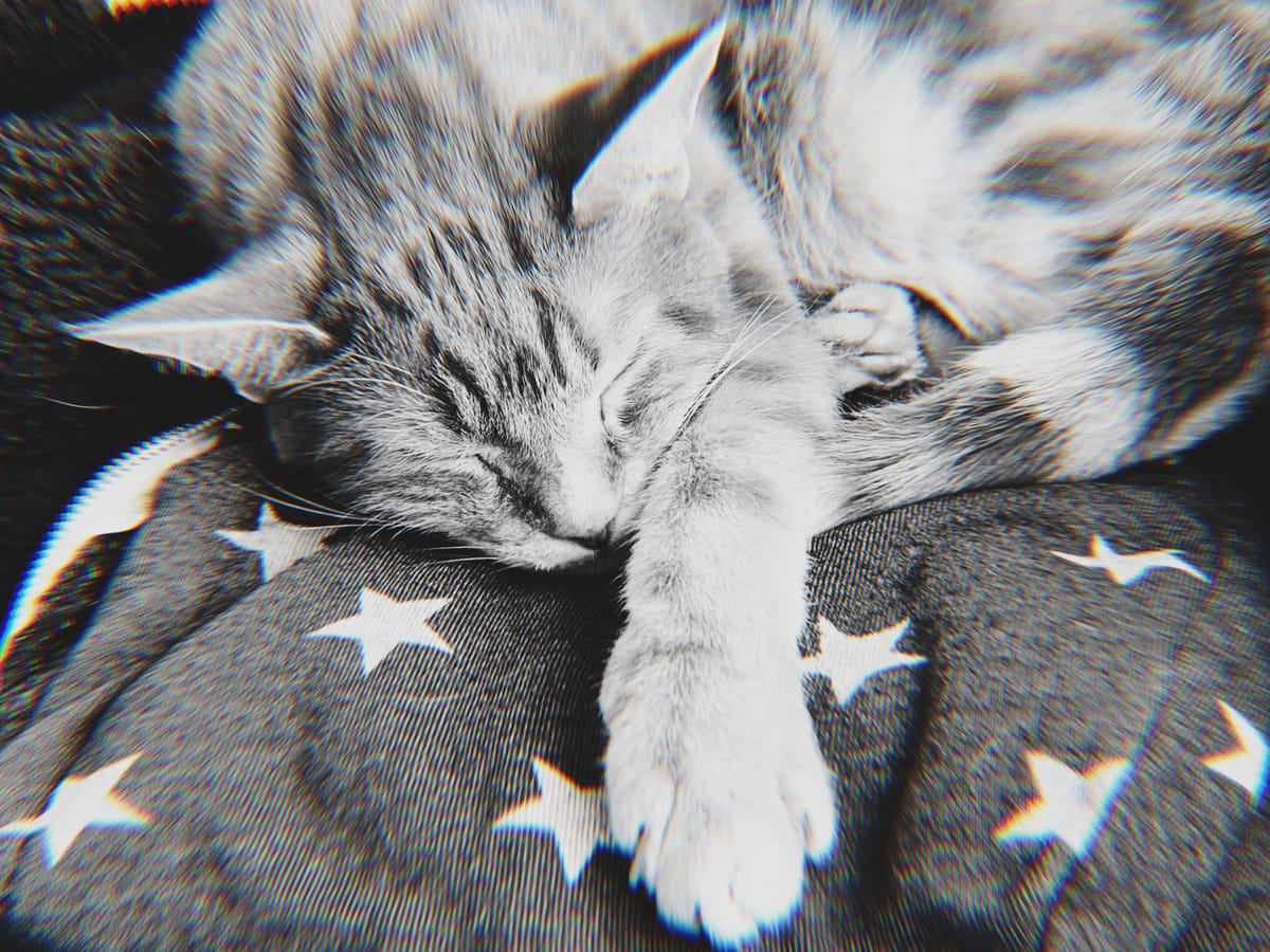 Mostly black and white photo of a cat laying on a starry hoodie, lens distortion around the edges with colored haloing