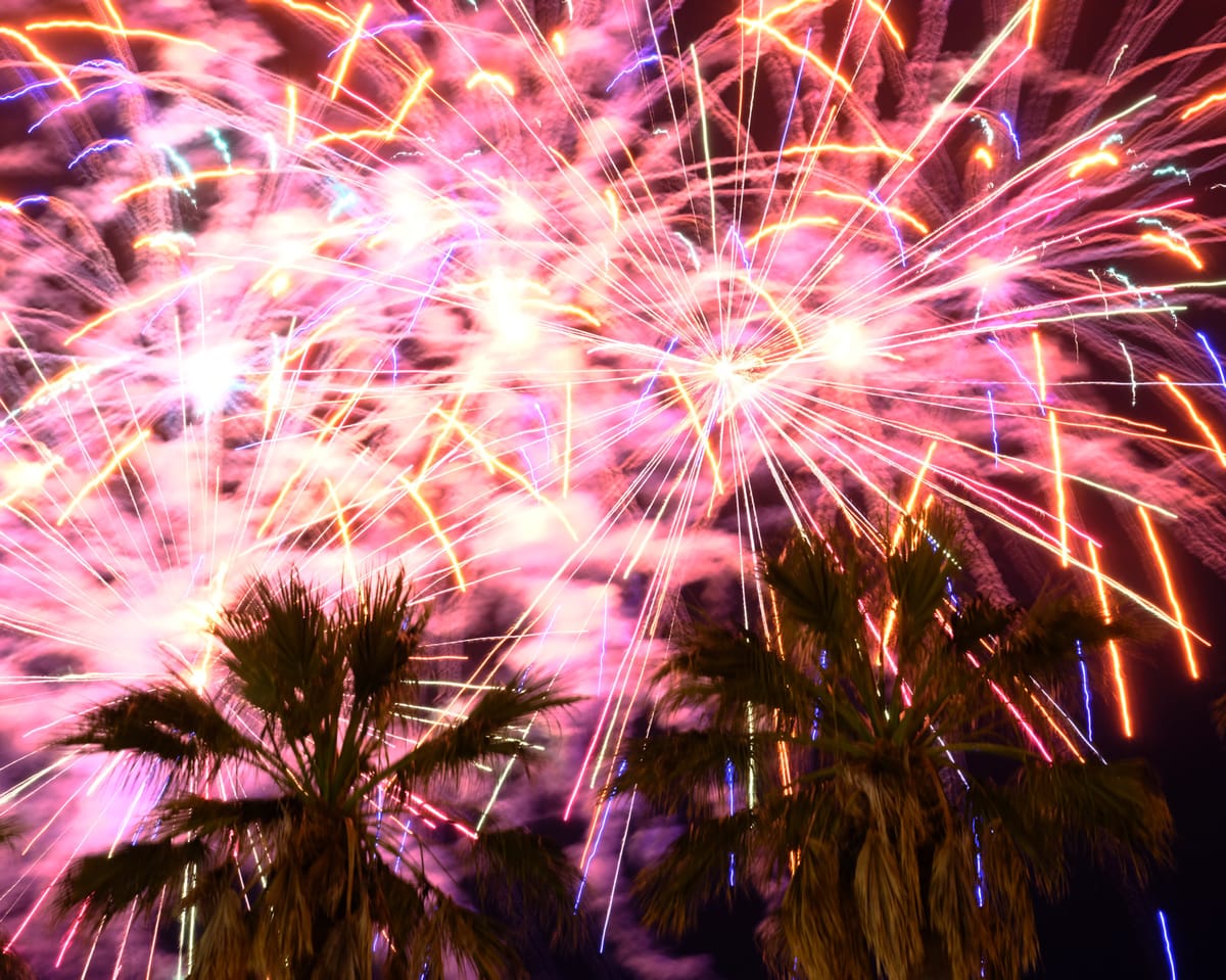 Multicolored fireworks exploding in the sky with similarly shaped palm trees in the foreground