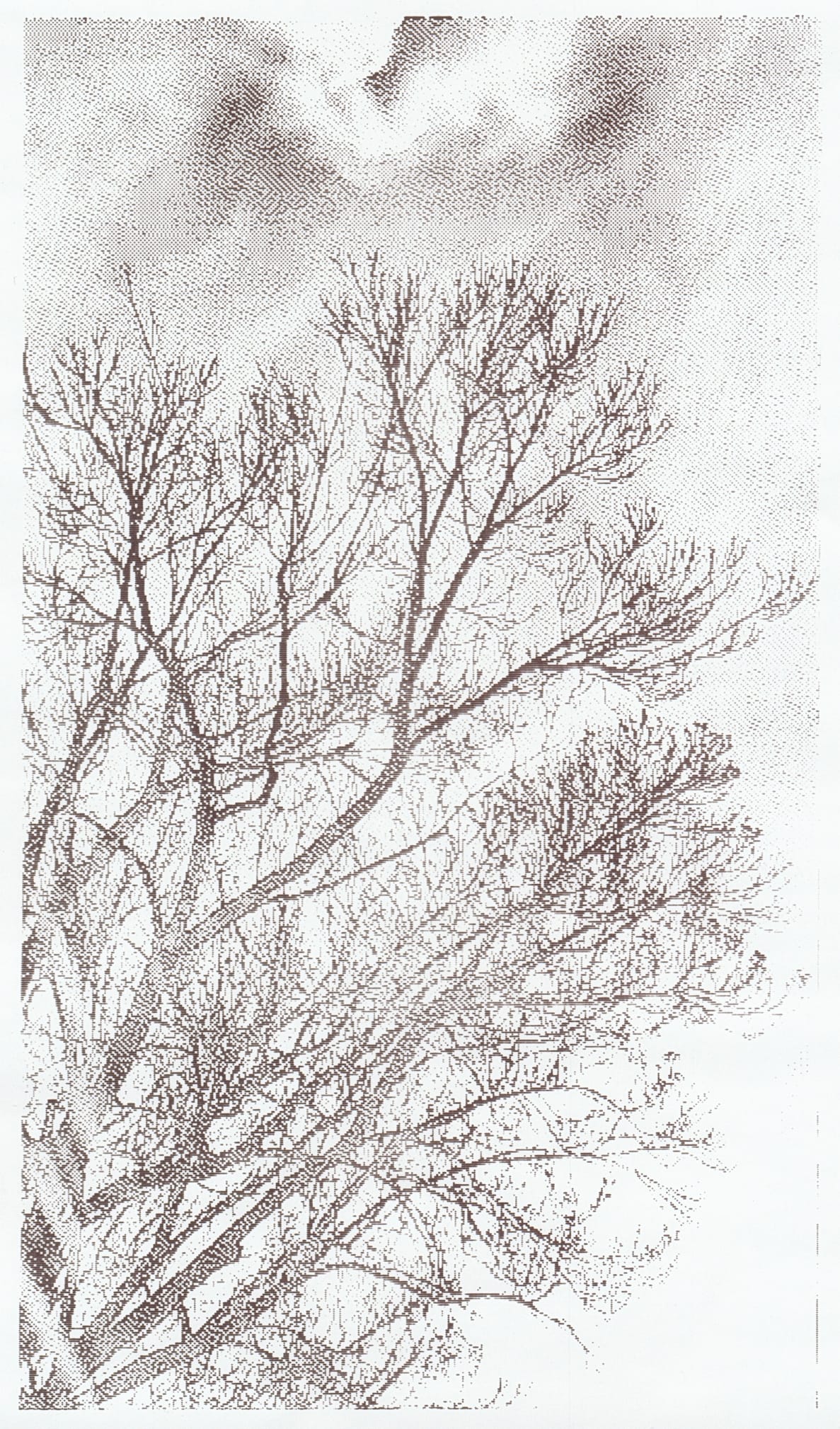 1-bit grayscale thermal print of tree branches against a partially cloudy sky, captured vertically