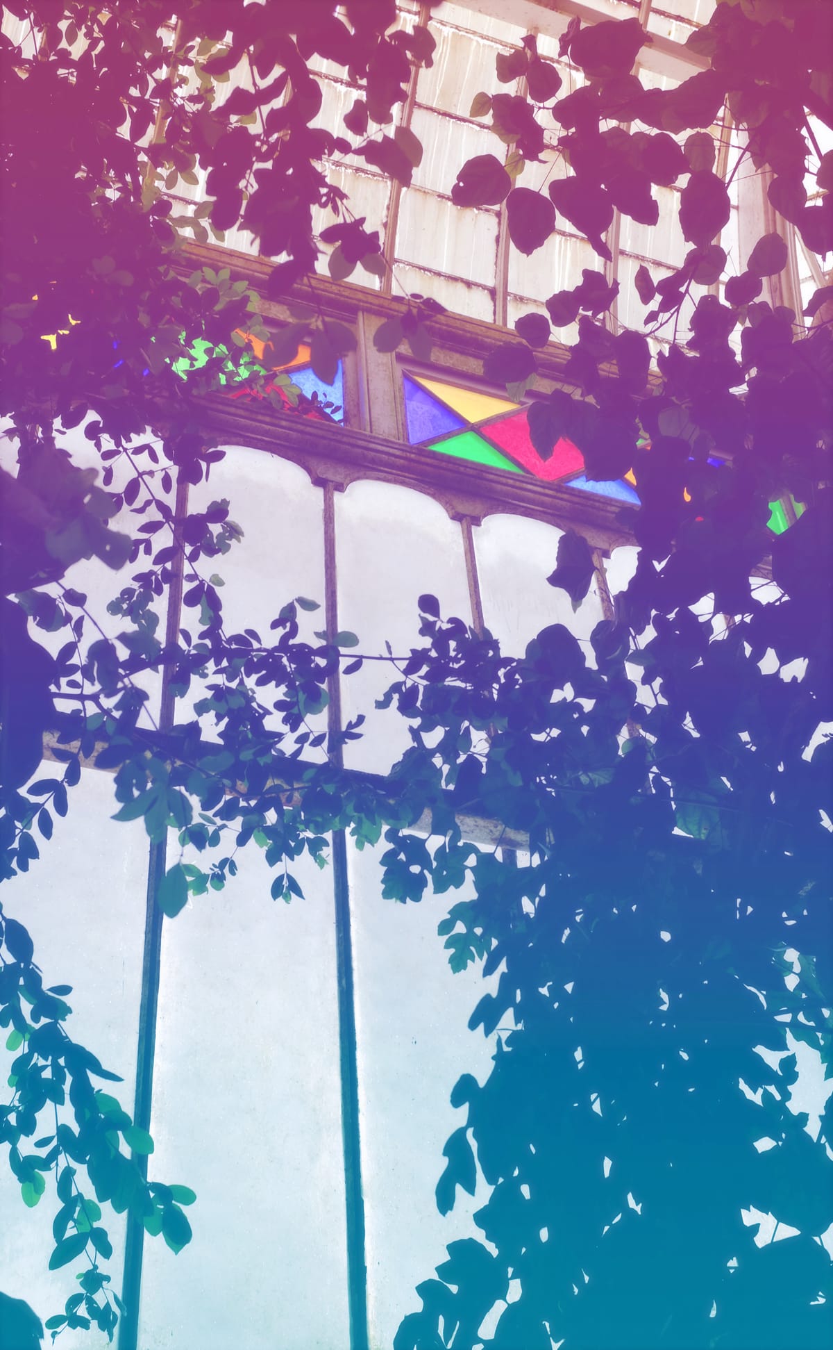 Greenhouse window with a stained glass embellishment along the upper third, with lots of foliage silhouetted