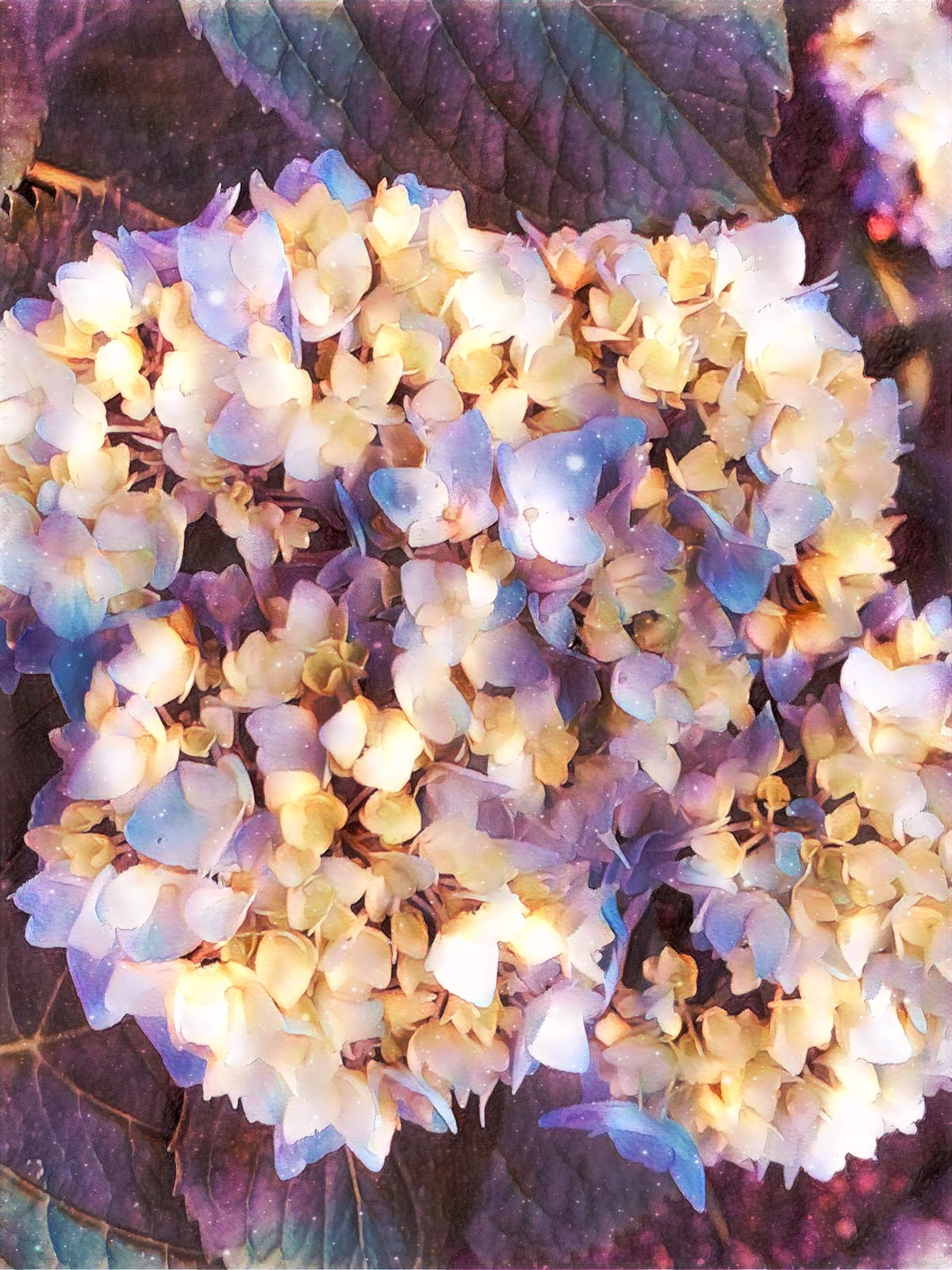 Painterly, dreamy edit of hydrangea blooms featuring purple, yellow, and cream colors