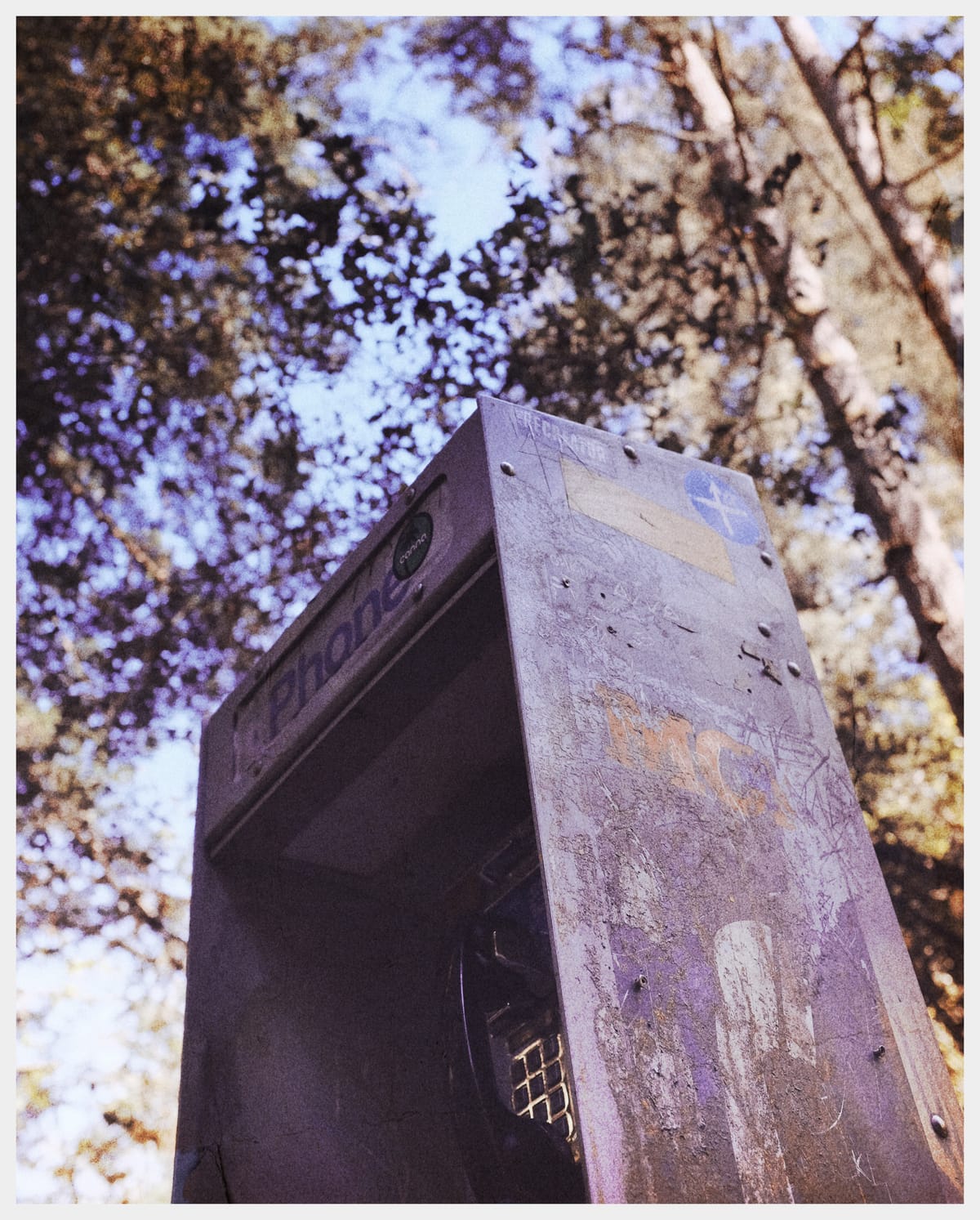 An old and busted pay phone amongst the trees in a forest