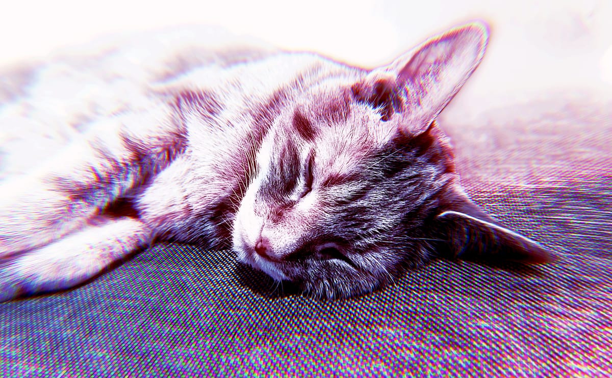 Heavily edited picture of a cat laying on a gray tweed sofa