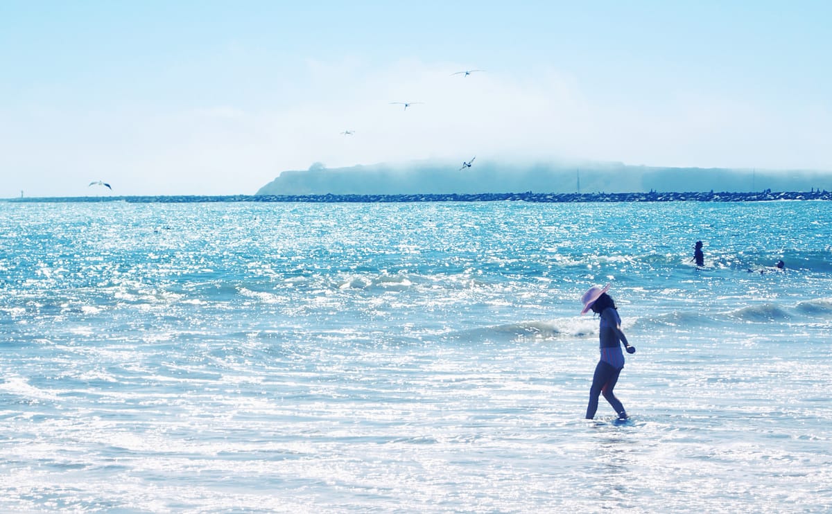 Beach scene with a kid in the foreground splashing in the ocean, pelicans in the air and fog in the background