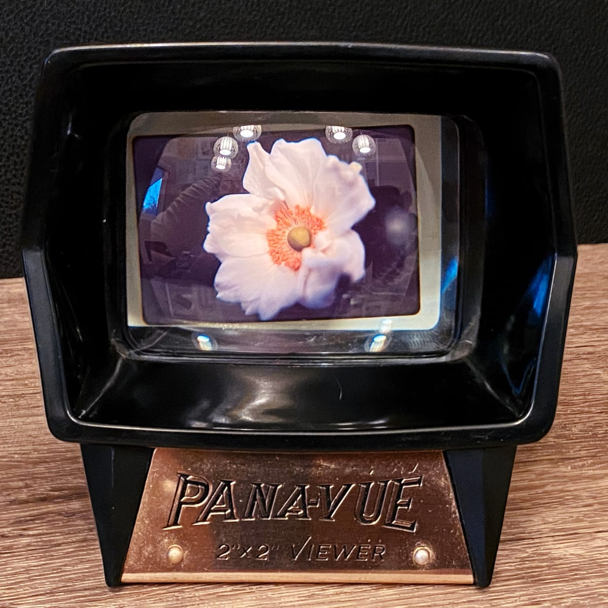 Close up of a vintage film slide viewer with a Velvia slide of a white anemone (?) flower