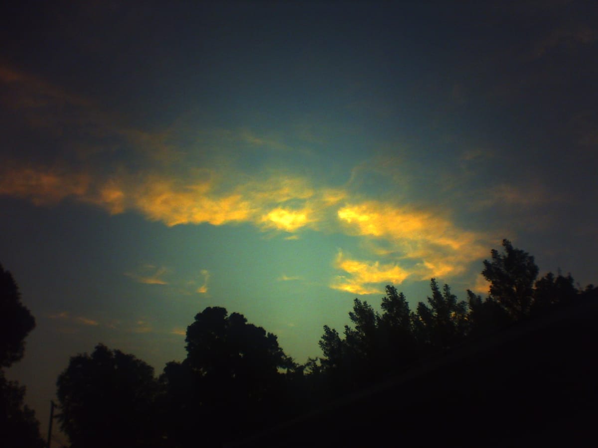 Lo-fi, grainy, some parts overexposed shot of wispy clouds in a sunset sky with dark trees silhouetted at bottom