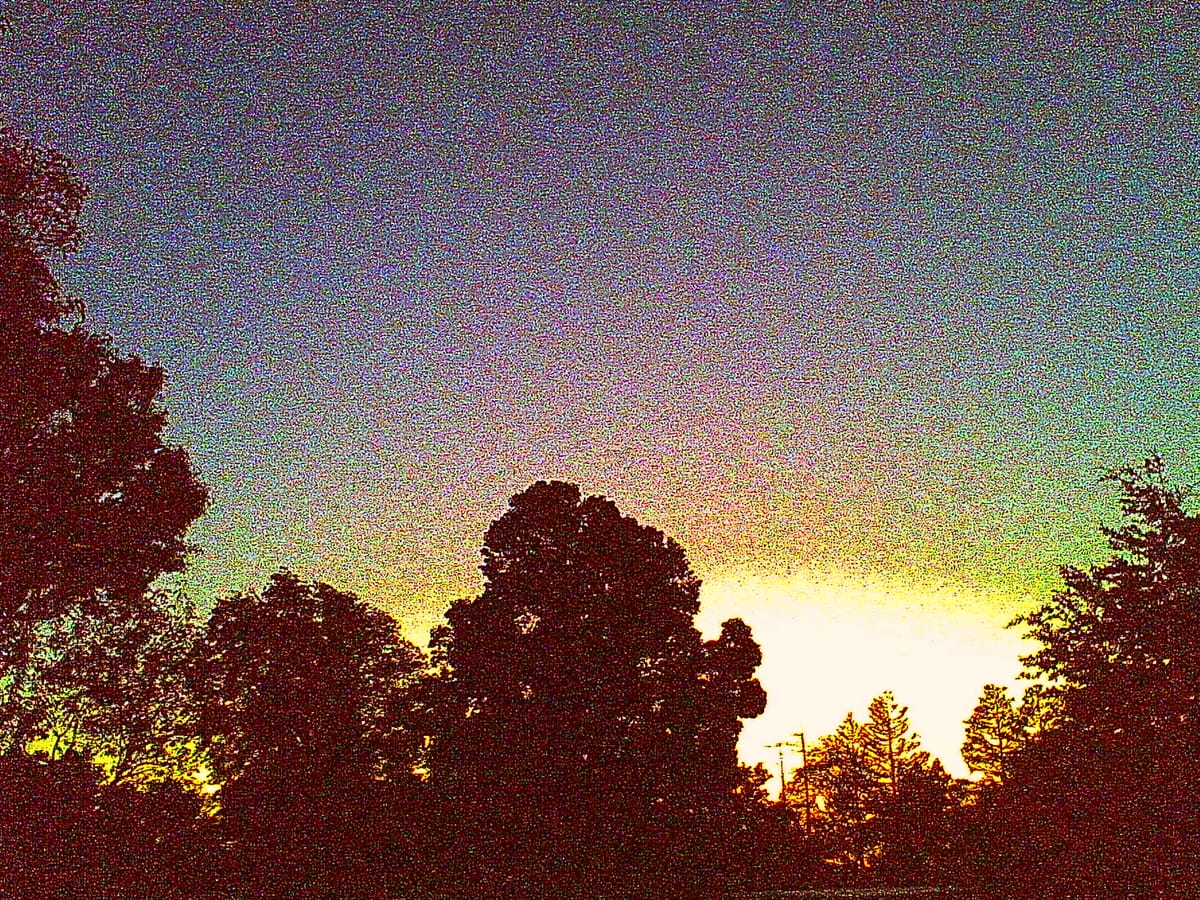 Very grungy, digitally noisy picture of trees silhouetted against a sunset sky