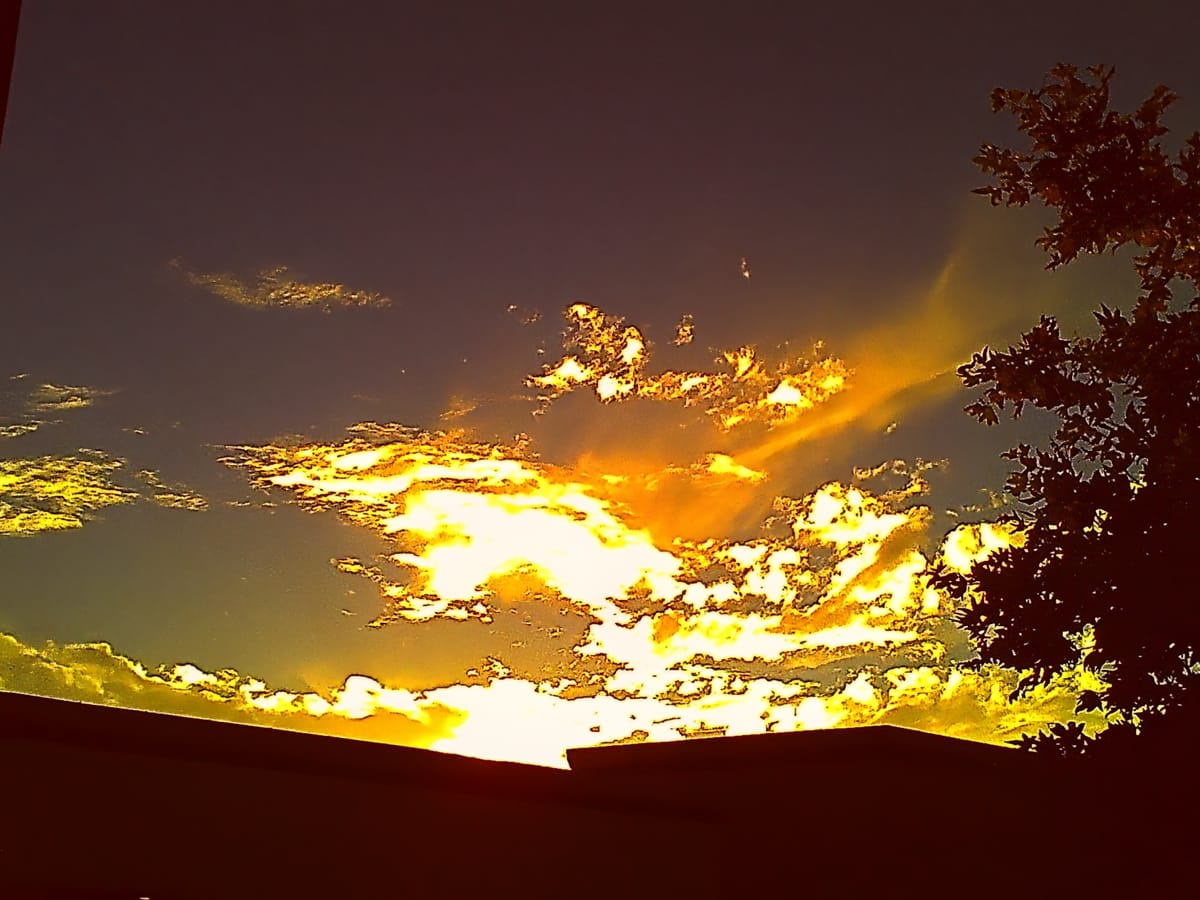 Very overexposed picture of golden, wispy clouds in a dark blue-gray sky at sunset w/ tree branches on the right edge