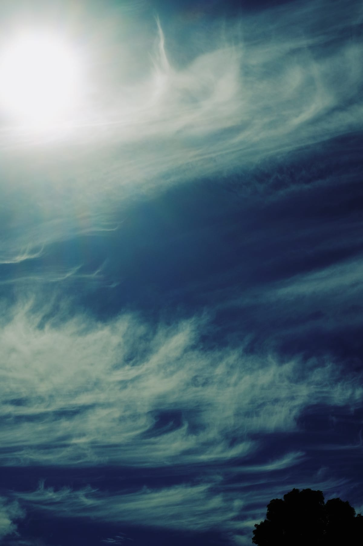 Dark blue sky filled with wispy clouds running horizontally across frame, sun in upper left, black poofy tree lower right