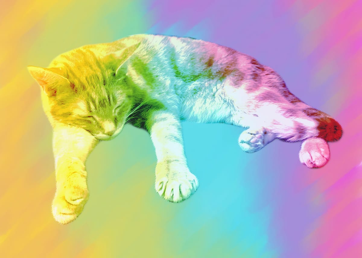 A vivid gradient of yellow, aqua, and violet with a picture of a sleeping cat overlaid