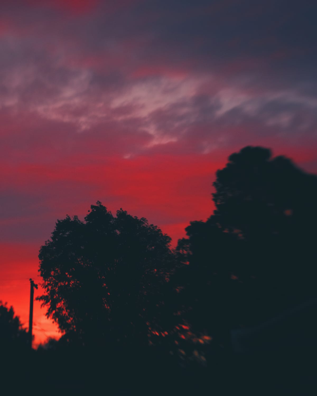 Tree silhouetted against a vividly red and light purple sunset sky filled with clouds, some intentional lens blur