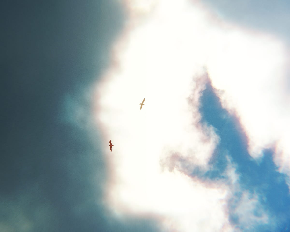 Clouds in a blue sky with two flying bird silhouettes in the middle of the frame, flying in opposite directions