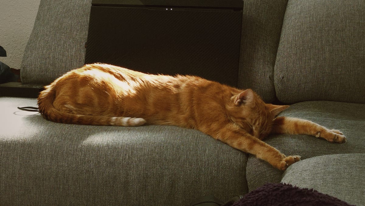 An orange tabby sprawled out on a gray sofa, his arms stretched in front of him, his face down, eyes closed