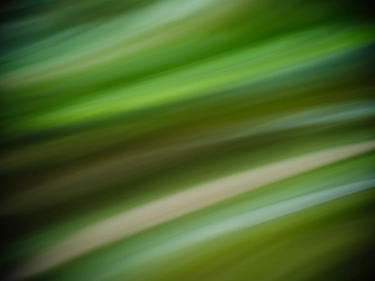 Abstract picture of horizontal swipes of varying shades and lightness of green and some browns