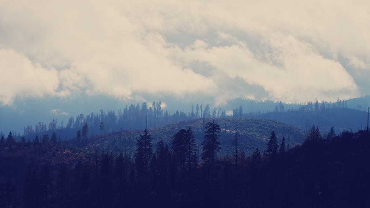 Telephoto image of layered hills filled with tall evergreen trees and a very cloudy sky in the background