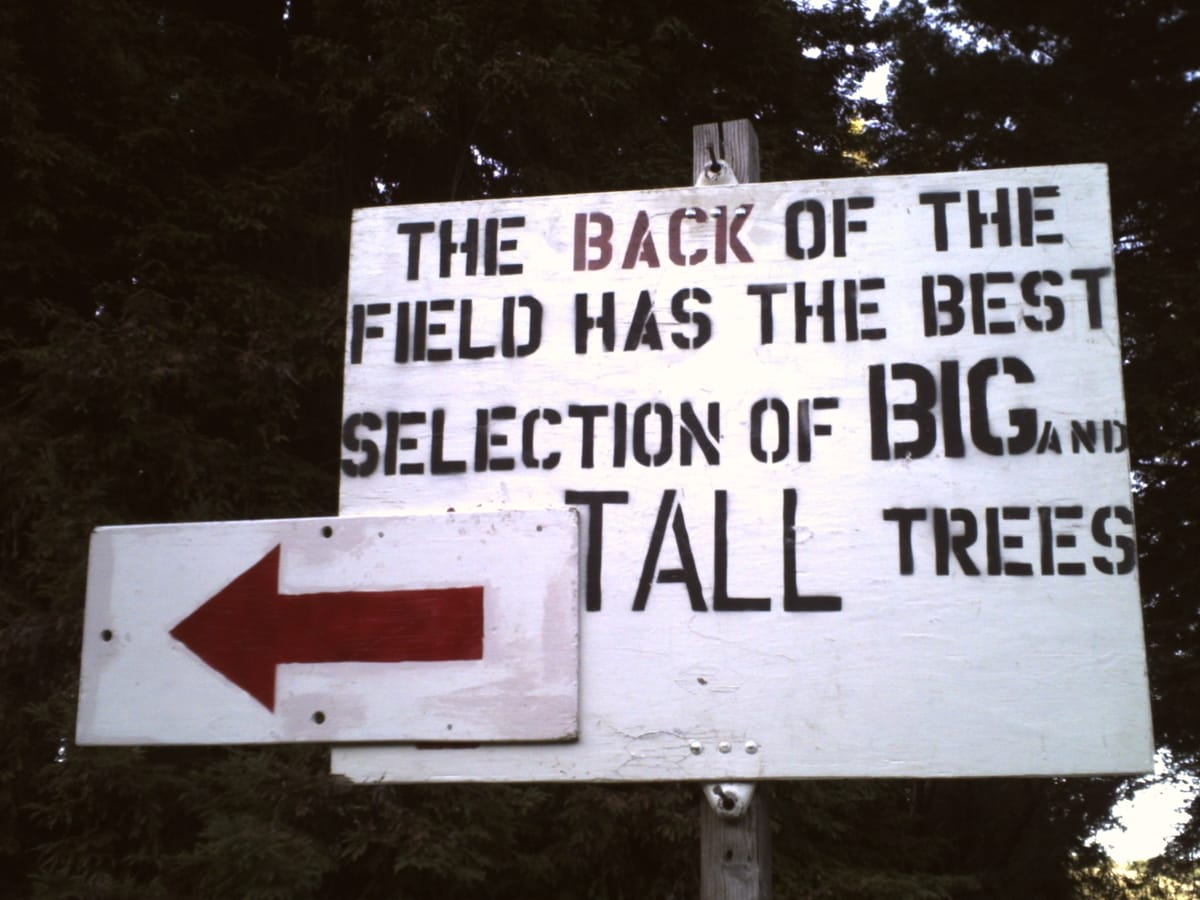 A white painted sign with black letters stenciled, "the back of the field has the best selection of big and tall trees"