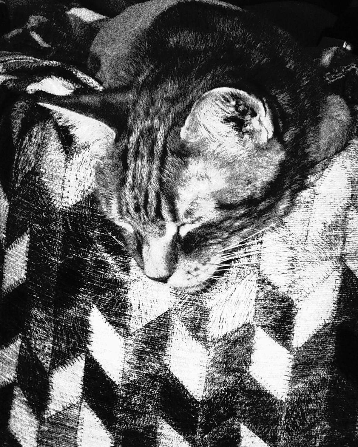 Portrait-oriented, black and white image of a sleeping cat's head hooked over the edge of a cube "pouf" with geometric design