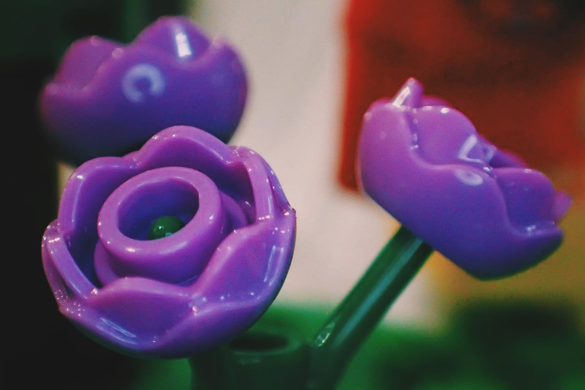 Macro of purple LEGO roses, with the foreground flower in focus and the other two out of focus, as if they were real flowers