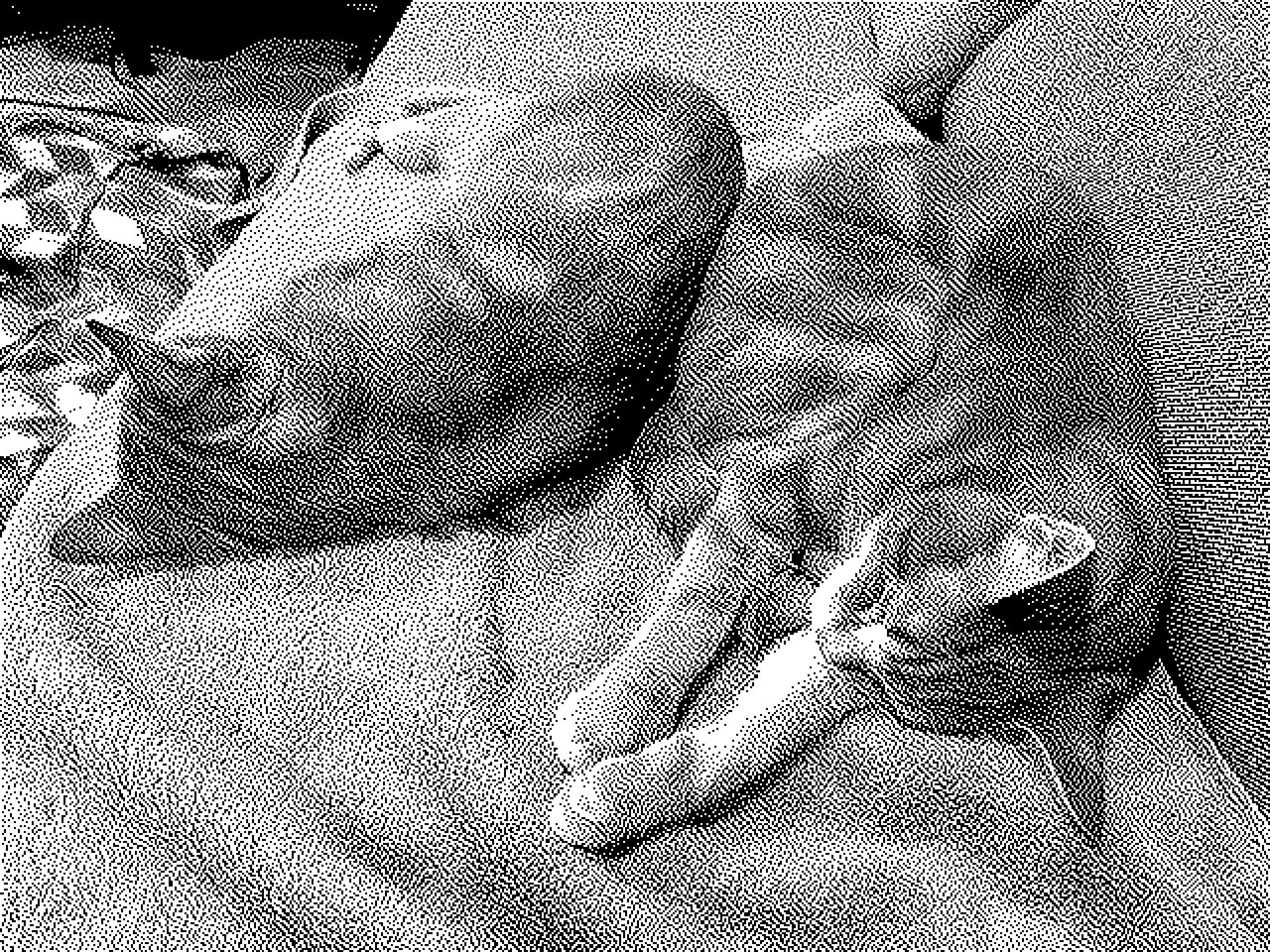 Low-res, monochrome picture of 2 cats sleeping on a towel on a sofa, one curled away from camera, the other curled facing cam