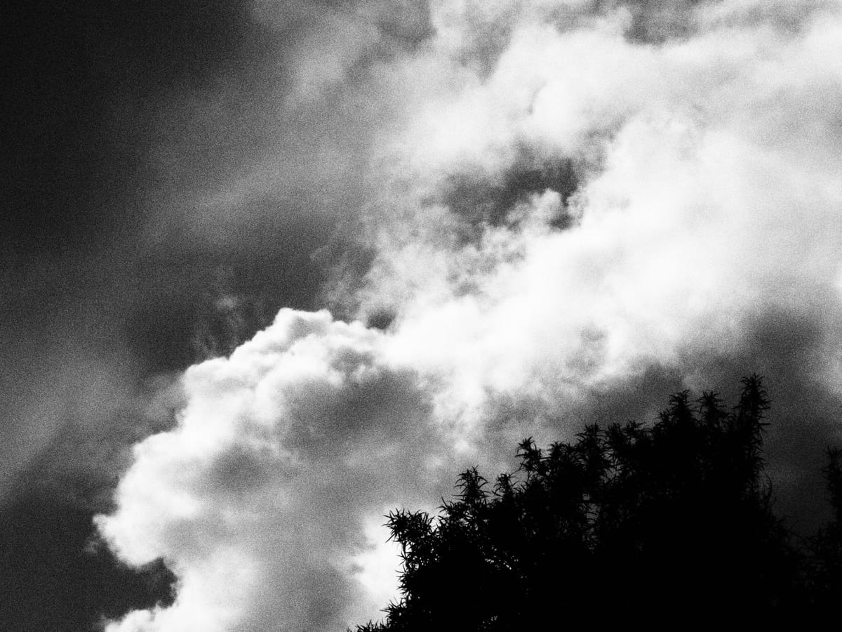 Grainy black and white picture of a mostly cloudy sky with bright white poofy clouds in middle, black tree silhouette below