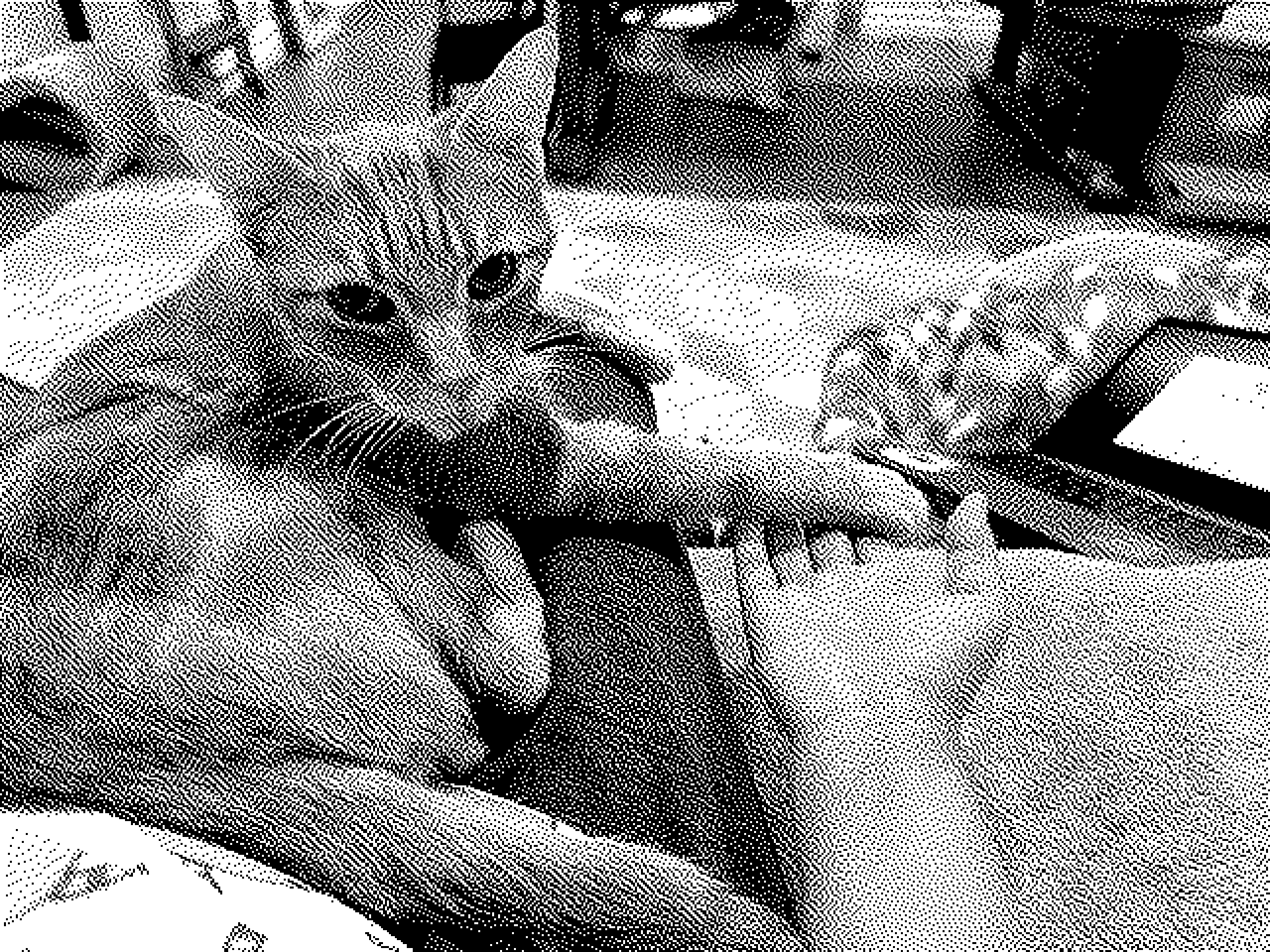 Low-resolution monochrome picture of a cat sitting on a lap, right paw outstretched and held by person he's sitting on