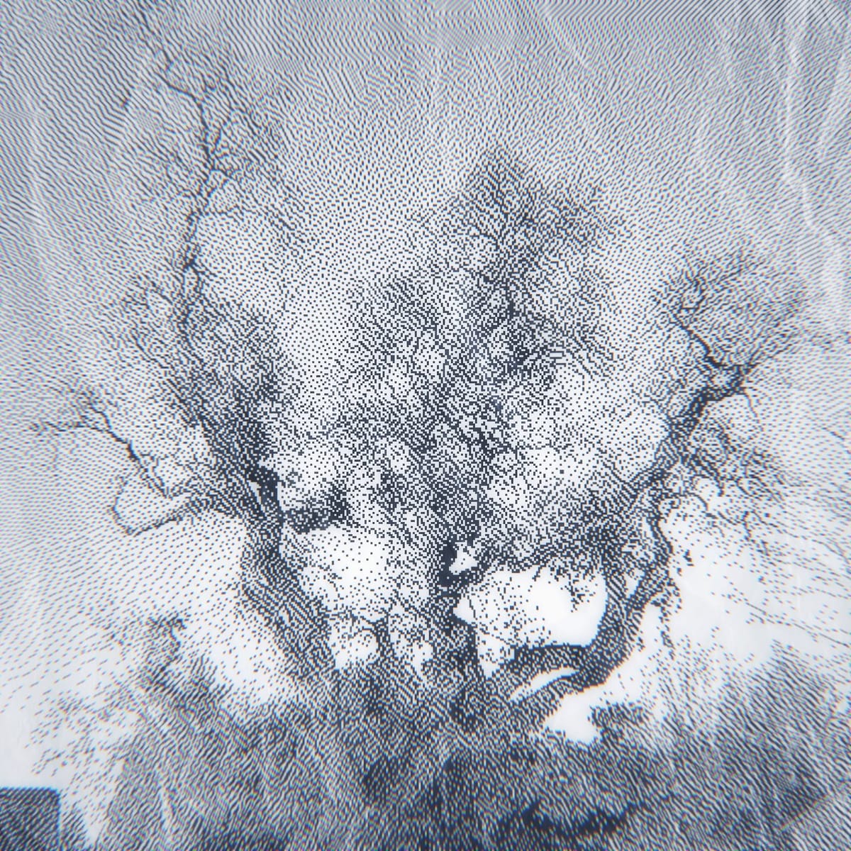 Low-resolution, monochrome pixelated image of a big gnarly tree out of focus around edges, w/ crumpled paper texture all over