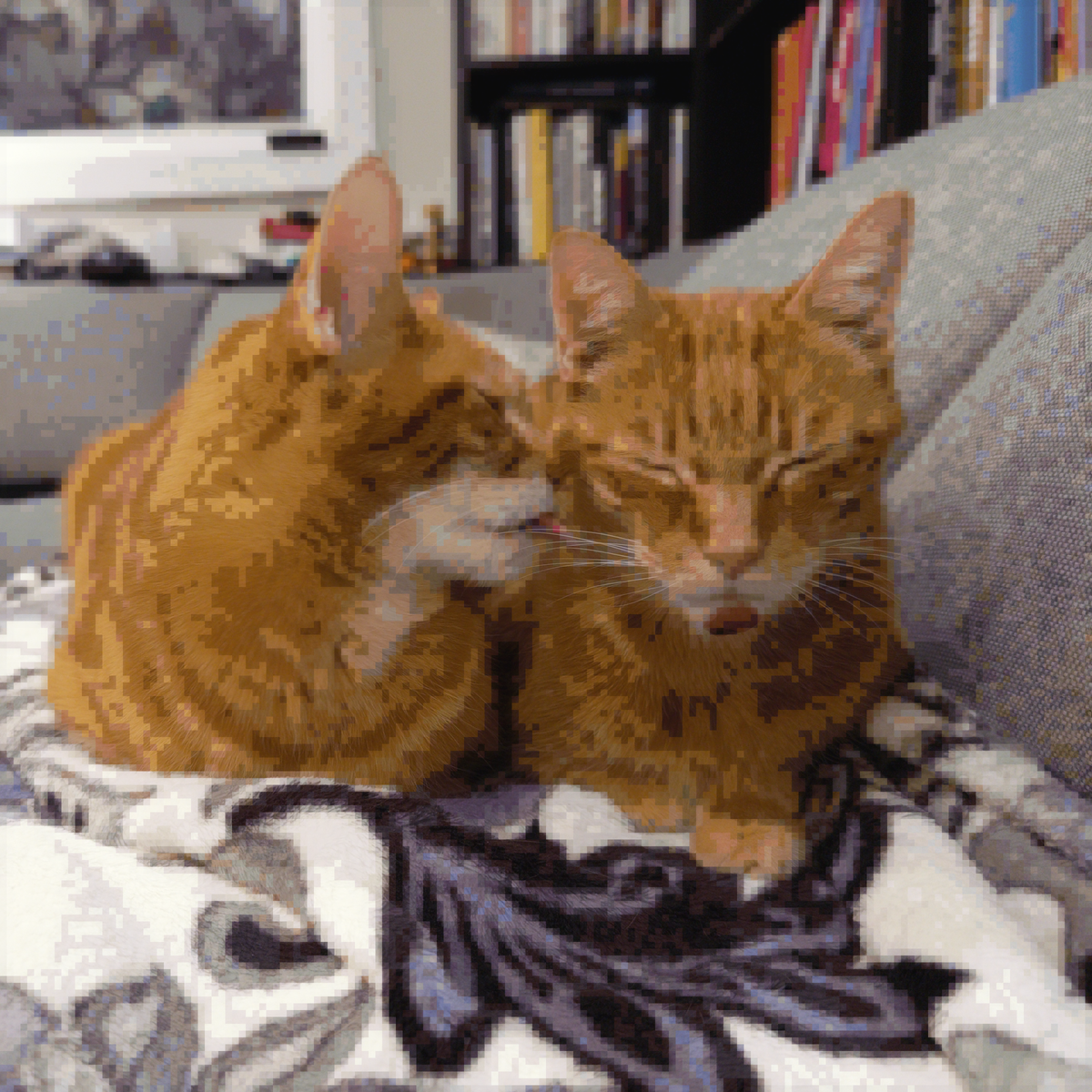 2 orange tabby cats sitting on a floral patterned blanket on a gray couch, one cat licking the other's face