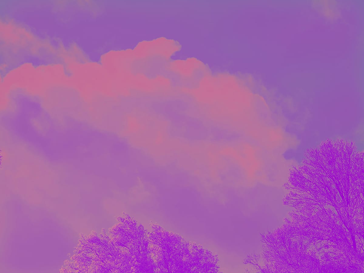 A cloudy sky with a couple tree tops in the foreground, but the overall color of the sky, clouds, trees is magenta