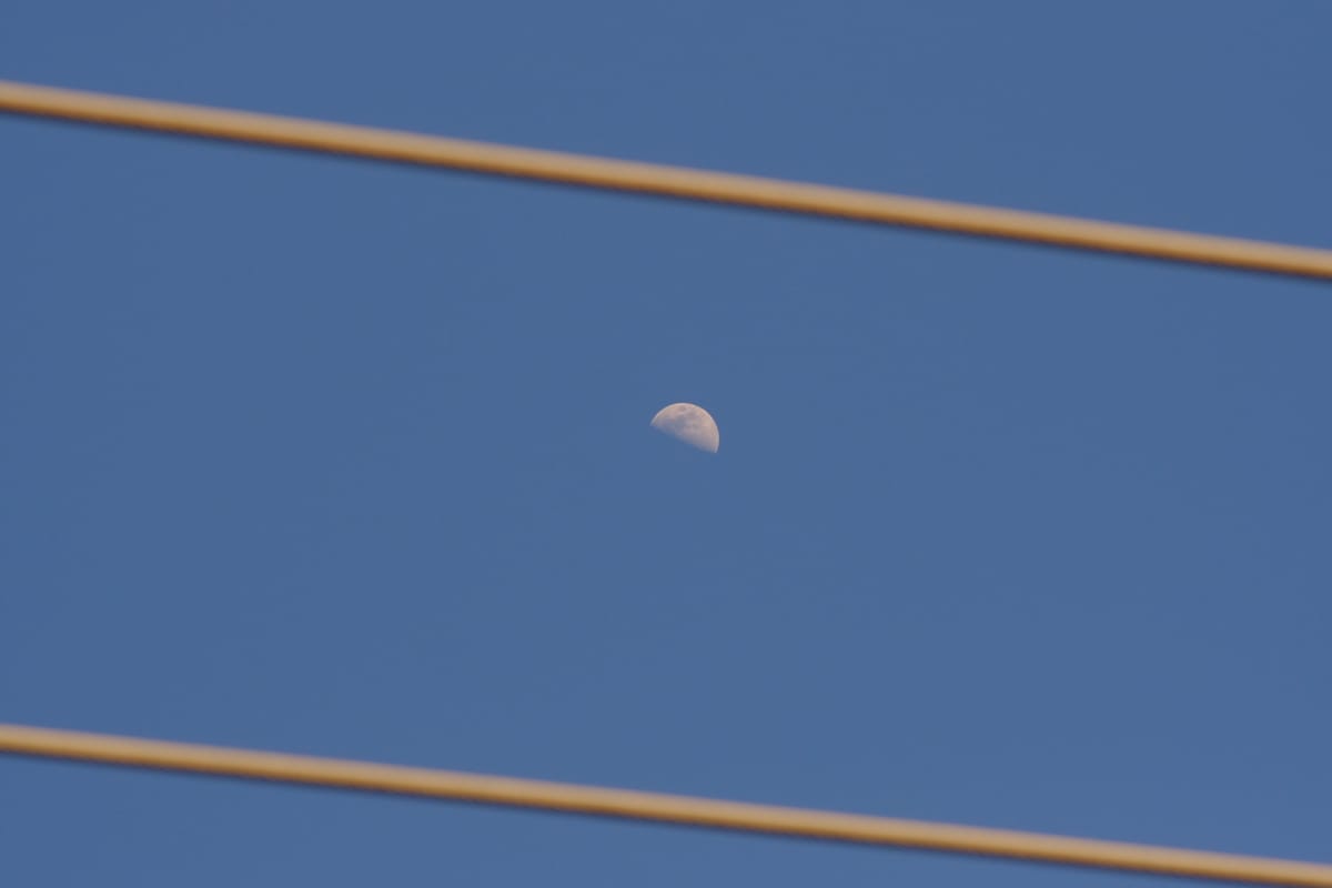 Half moon taken mid-afternoon, framed between 2 parallel power lines which are out of focus