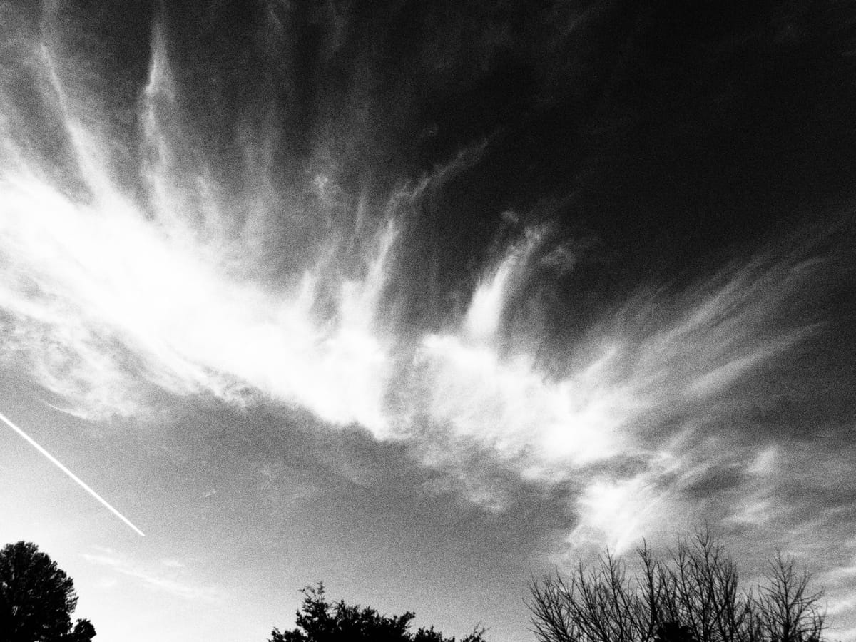 Grainy black and white photo of wispy clouds, a contrail in the lower left corner, and tree-top silhouettes in bottom of frame