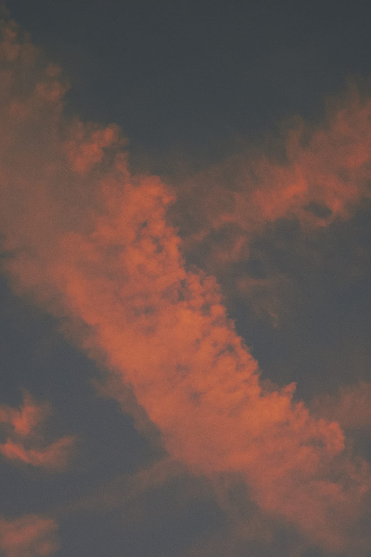 Looking up at early evening sunset sky, some half-wispy, half-poofy clouds arranged in a loose “X” shape, peachy pink against a darkening blue sky