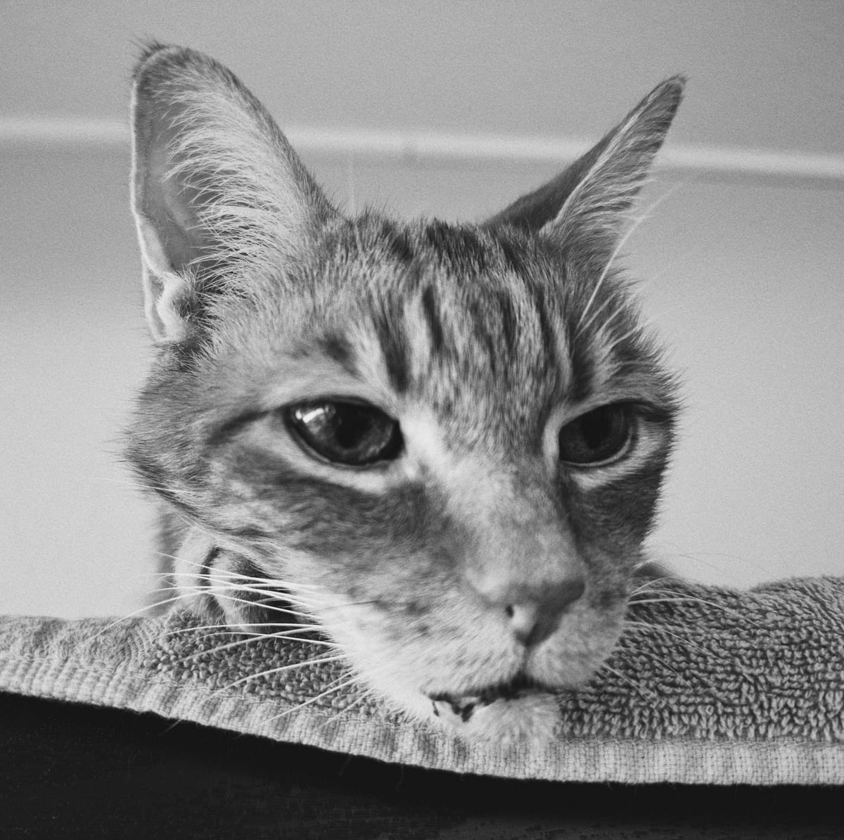 picture a day: jul 1