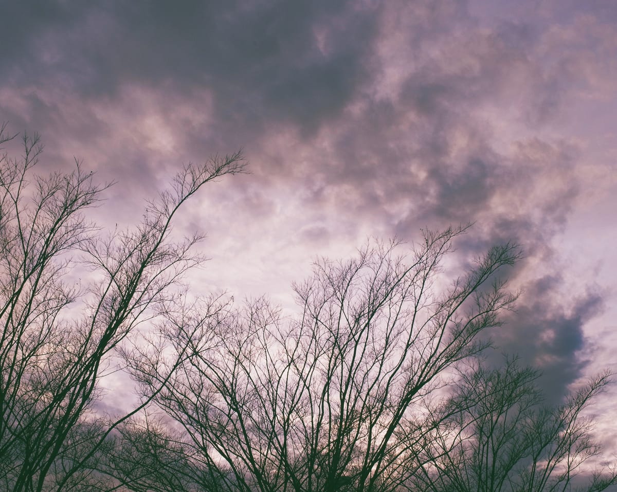 Skinny, fine tree branches silhouetted against a cloudy sky with a dark ring of clouds framing the center of the frame
