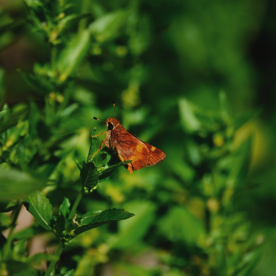 picture a day: may 3