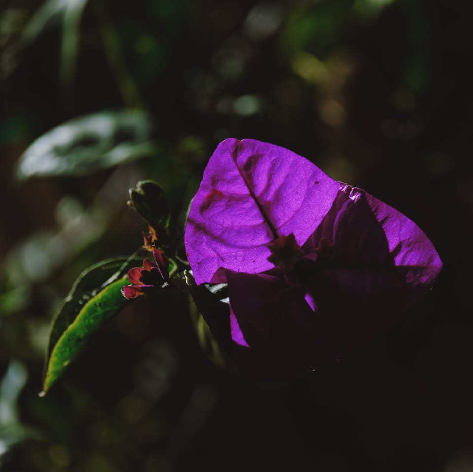 picture a day: may 4